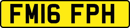 FM16FPH