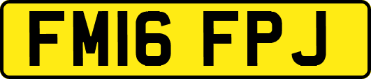 FM16FPJ