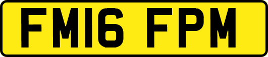FM16FPM