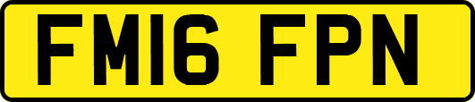 FM16FPN