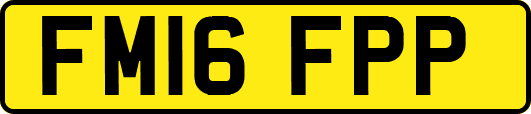 FM16FPP