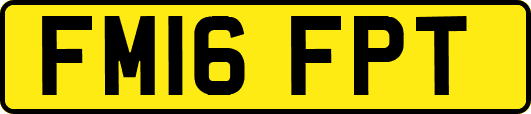FM16FPT