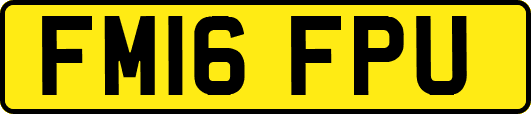 FM16FPU