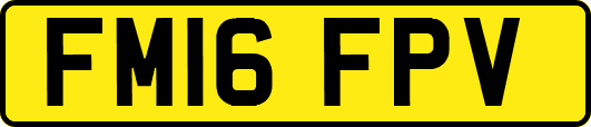 FM16FPV