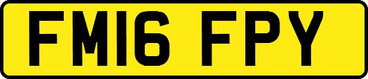 FM16FPY