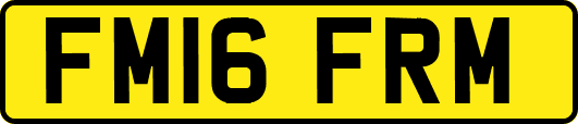 FM16FRM