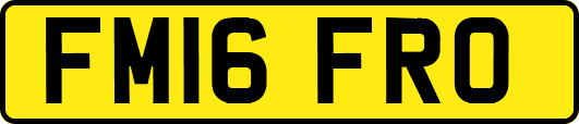 FM16FRO