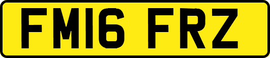 FM16FRZ