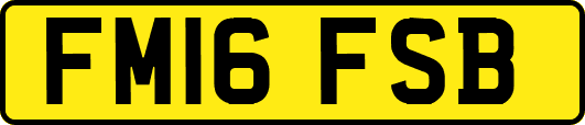 FM16FSB