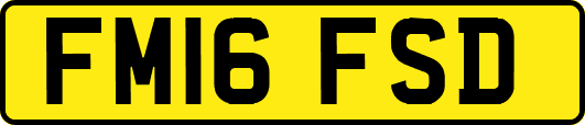 FM16FSD