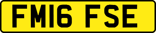 FM16FSE