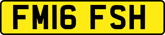 FM16FSH