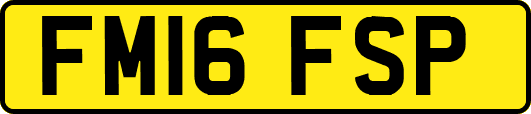 FM16FSP