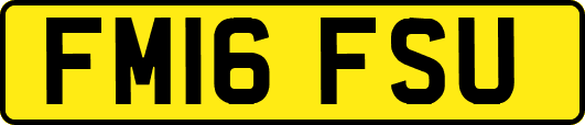 FM16FSU