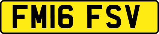 FM16FSV