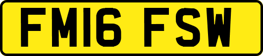 FM16FSW
