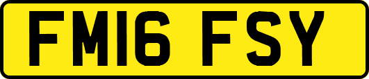 FM16FSY