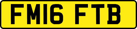 FM16FTB