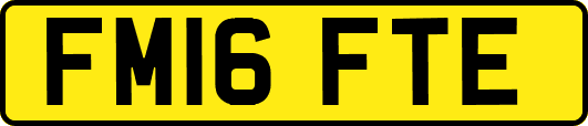 FM16FTE