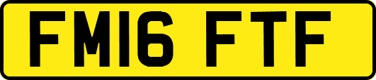FM16FTF