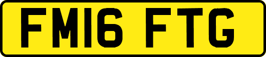 FM16FTG