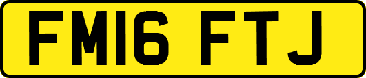 FM16FTJ