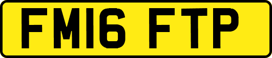 FM16FTP
