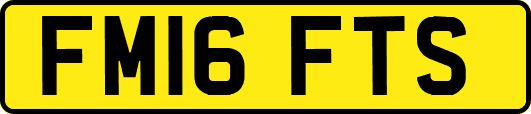 FM16FTS
