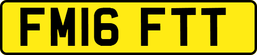 FM16FTT
