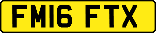 FM16FTX