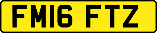 FM16FTZ