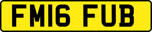 FM16FUB