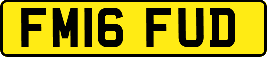FM16FUD