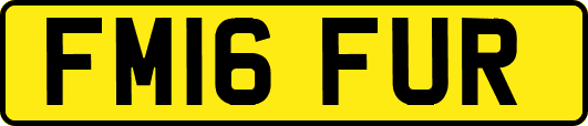 FM16FUR