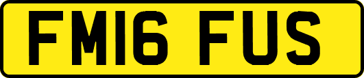 FM16FUS
