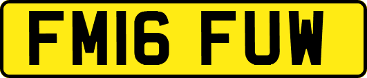 FM16FUW