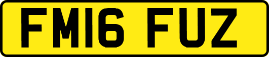 FM16FUZ