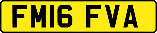 FM16FVA