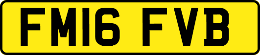 FM16FVB