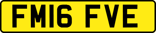 FM16FVE