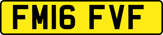 FM16FVF