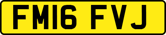 FM16FVJ