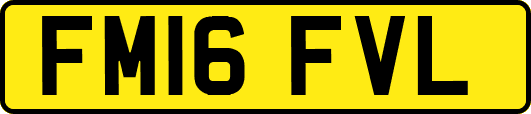 FM16FVL