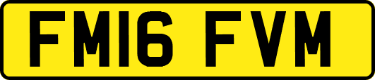 FM16FVM