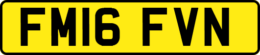 FM16FVN