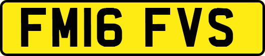 FM16FVS