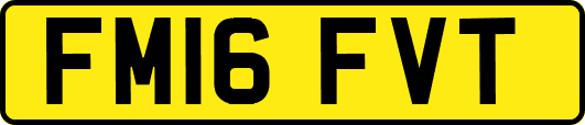 FM16FVT