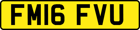 FM16FVU