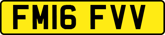 FM16FVV