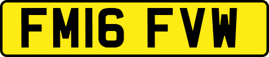 FM16FVW